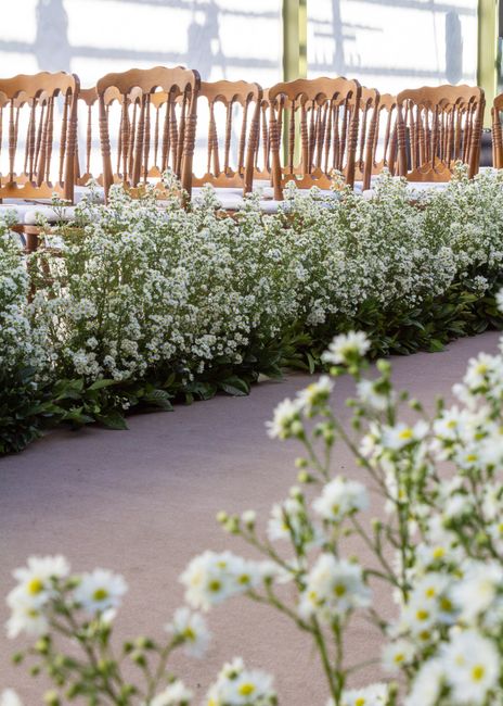 A row of wooden chairs with curved backs and vertical spindles, arranged along a long table decorated with a lush, dense border of delicate white gypsophila flowers. The flowers have small, clustered