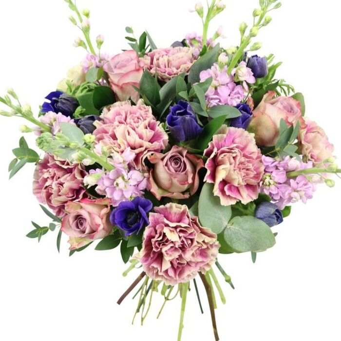 A sophisticated, hand-tied bouquet stands out crisply against a stark white background, allowing each blossom and texture to be seen as clearly as if you were holding it in a Stepney living room. At the core, several large garden roses in shades of dusty pink, blush, and muted mauve fold outward in soft spirals, their many petals creating a plush, romantic focal point. Woven around them are opulent ruffled carnations, each bloom displaying a subtle gradient from creamy beige and pale blush at the centre to deeper rose and plum-pink tones along the fringed edges, adding a sense of movement and sculptural depth. Threaded through this rosy canvas are deep indigo-blue flowers, shaped like sleek tulip buds, that provide a dramatic, cool contrast. Near the base, one striking royal blue anemone with a near-black centre is fully open, drawing the gaze and giving the design a contemporary edge. Clusters of lilac and pale lavender stock extend upward, their densely packed tiny blossoms along slender stems bringing lightness and vertical rhythm, reminiscent of flowers swaying in an East London breeze near Stepney Green Park. Silvery eucalyptus with rounded leaves mingles with darker, glossy foliage, lending both structure and a sense of freshly gathered greenery. The stems at the bottom are clearly visible, expertly bound, hinting at the bouquet's fresh preparation and readiness for delivery. The overall palette of pinks, purples, blues, and lush greens suggests romance and reassurance, making this arrangement ideal for weddings, anniversaries, or refined spring celebrations in homes and venues around Stepney, from narrow terraced streets to modern riverside apartments.
